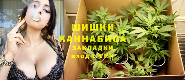 МДПВ Вязьма