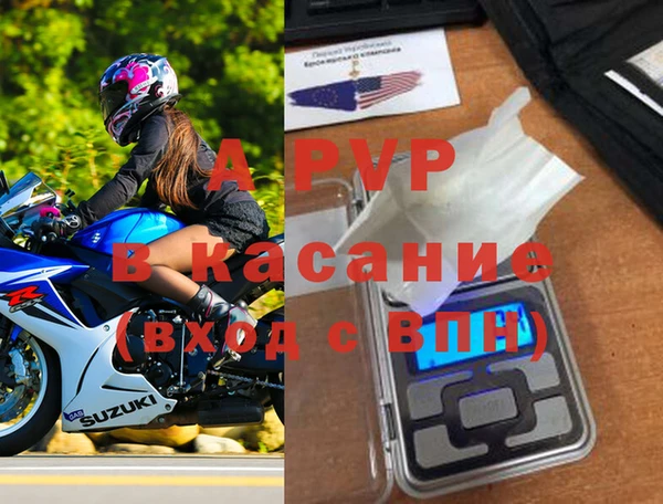 стаф Вязники