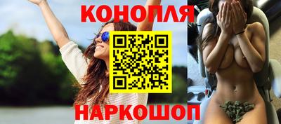 прущие грибы Малоярославец