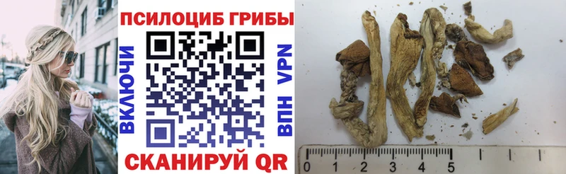 Галлюциногенные грибы Cubensis Городец