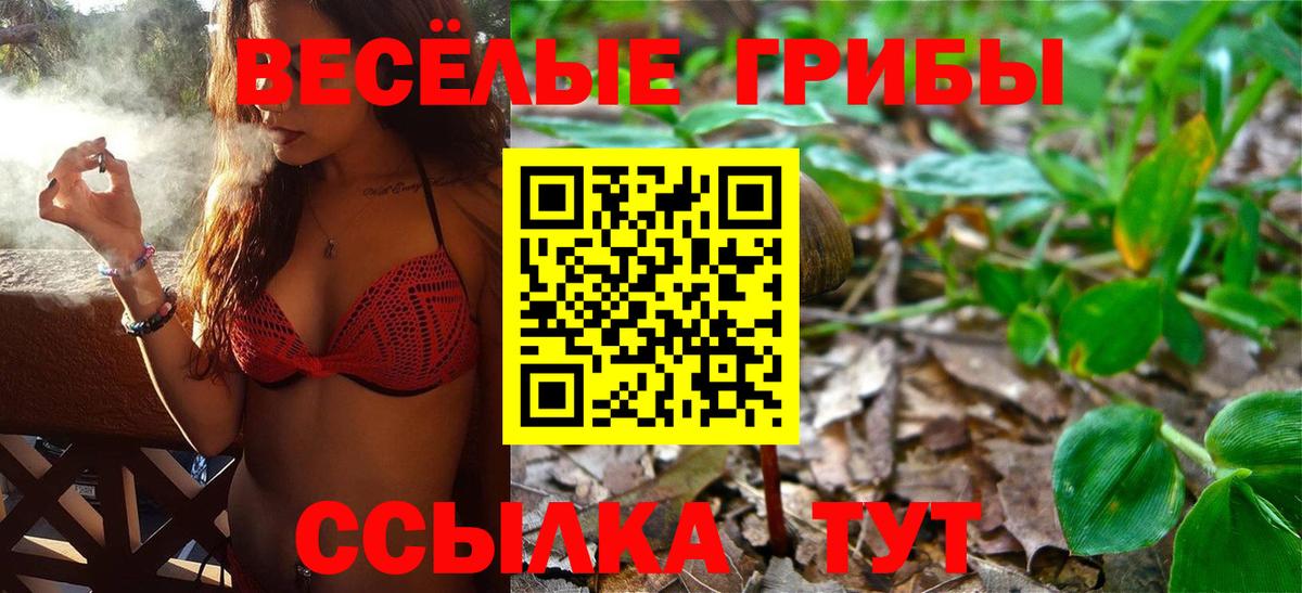 Городец  Псилоцибиновые грибы мухоморы  Вход с VPN 