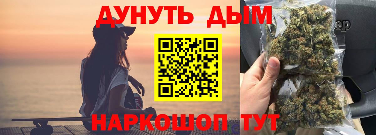 Конопля сатива Городец